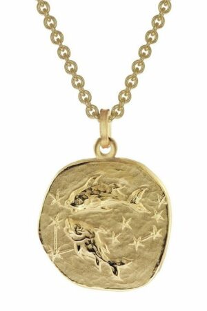 trendor Kette mit Anhänger Fische Sternzeichen Ø 20 mm Gold auf Silber