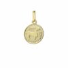 NKlaus Sternzeichenanhänger Steinbock Sternzeichen 333 8 Karat Gelbgold 12mm K
