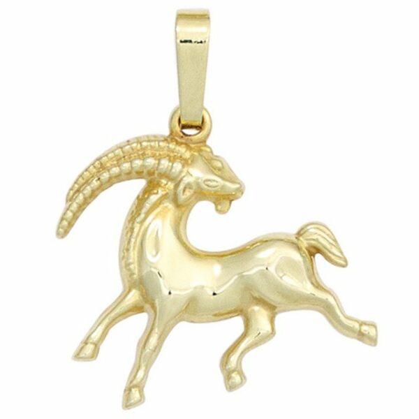 Schmuck Krone Kettenanhänger Sternzeichen Anhänger Steinbock 333 Gold Gelbgold Einhänger Halsschmuck Damen