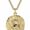 trendor Kette mit Anhänger Steinbock Sternzeichen Ø 20 mm Gold auf Silber