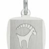 Adelia´s Kettenanhänger 925 Silber Sternzeichen Anhänger Steinbock