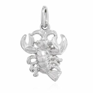 NKlaus Kettenanhänger Kettenanhänger Sternzeichen Krebs 925 Silber glanz Anhänger Zodiac Hor