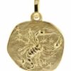 trendor Runder Anhänger Sternzeichen- Skorpion 585 Gold 16 mm