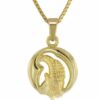 trendor Kette mit Anhänger Steinbock Sternzeichen Anhänger Gold 333 + vergoldete Kette