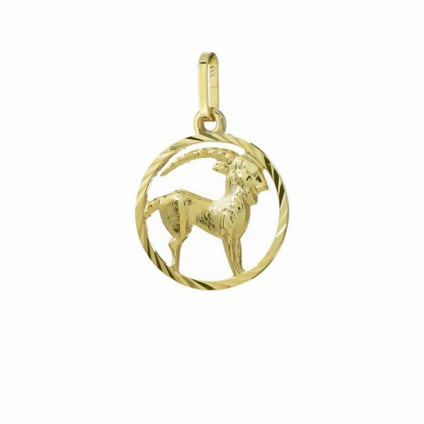 NKlaus Sternzeichenanhänger Steinbock Sternzeichen 333 Gelbgold 8 Karat 15mm K