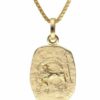 trendor Kette mit Anhänger Steinbock Sternzeichen Gold 333 mit vergoldeter Silberkette