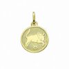 Adelia´s Kette mit Anhänger 333 Gold Sternzeichen Anhänger Stier Ø 11