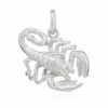 NKlaus Kettenanhänger Kettenanhänger Sternzeichen Scorpion 925 Silber glanz Anhänger Zodiac
