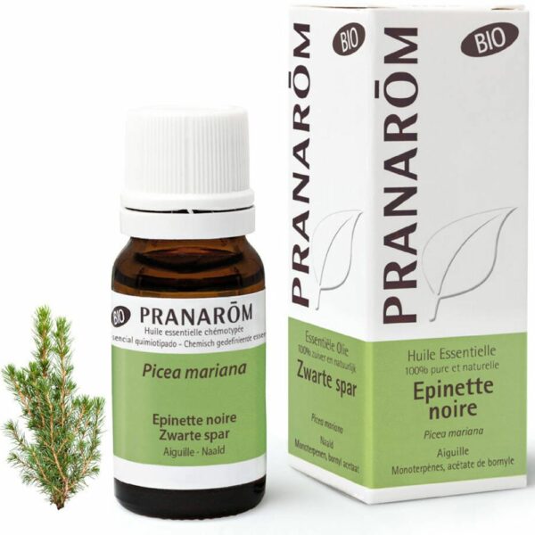 Pranarom Ätherisches Öl aus Schwarzkiefer