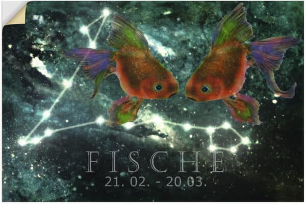 Artland Wandbild "Sternzeichen - Fische"