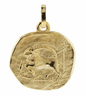trendor Runder Anhänger Sternzeichen- Steinbock 585 Gold 16 mm