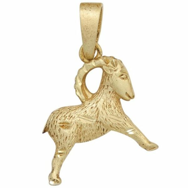 Schmuck Krone Kettenanhänger Anhänger Steinbock Horoskop Sternzeichen 925 Silber vergoldet mattiert