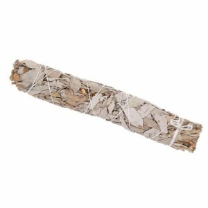 NKlaus Räucherstäbchen-Halter 1x Xl Weißer Salbei Smudge Sticks 65g Natur Salvia