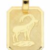 Adelia´s Kettenanhänger 333 Gold Sternzeichen Anhänger Steinbock